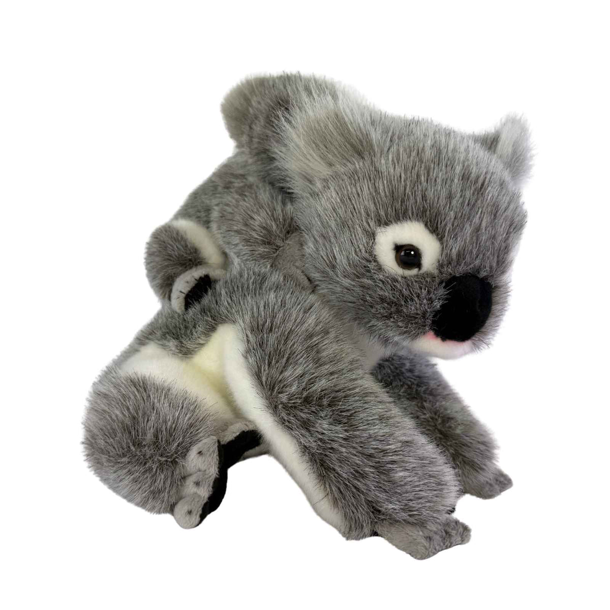 Plush toy koala on a white background