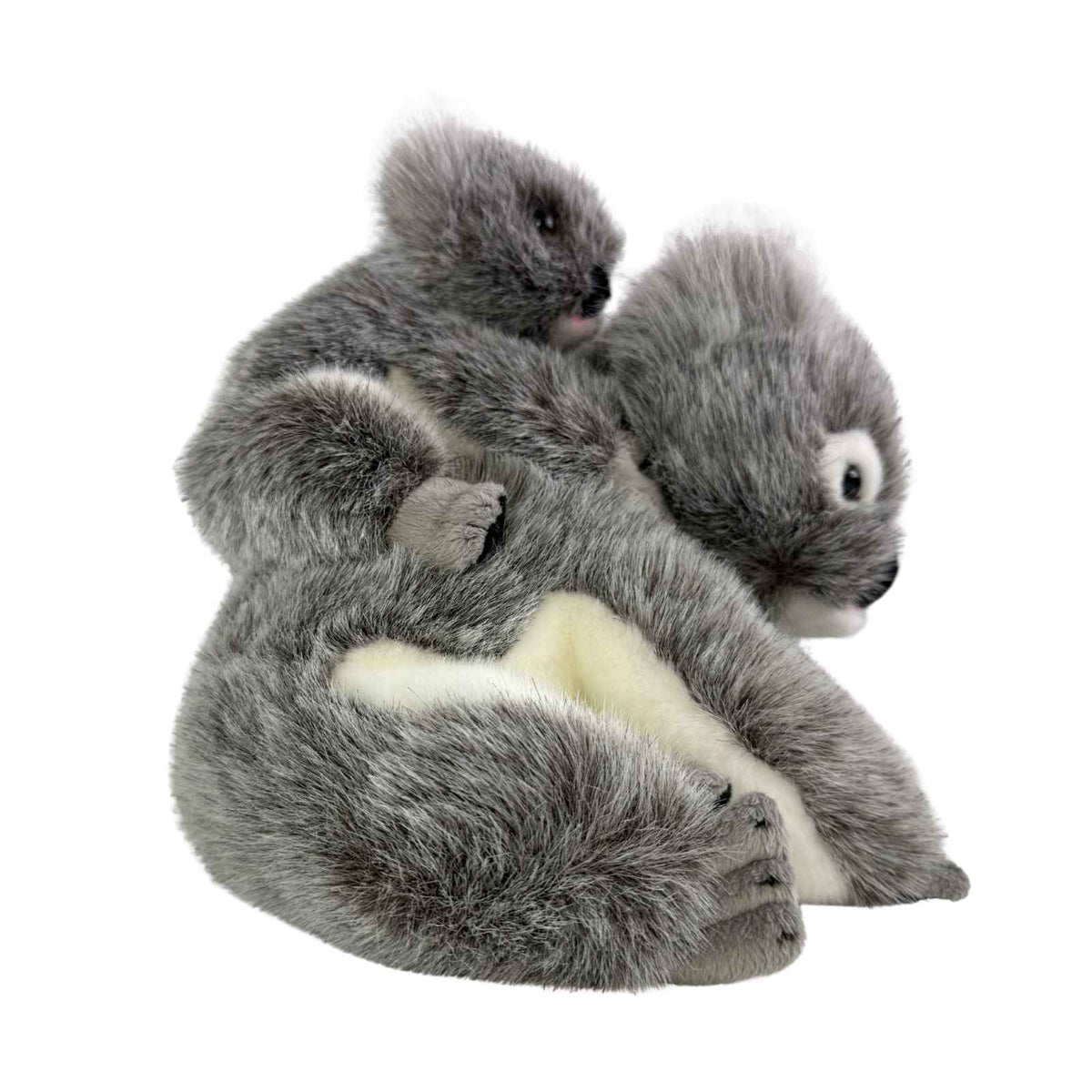Plush toy koala with a white background