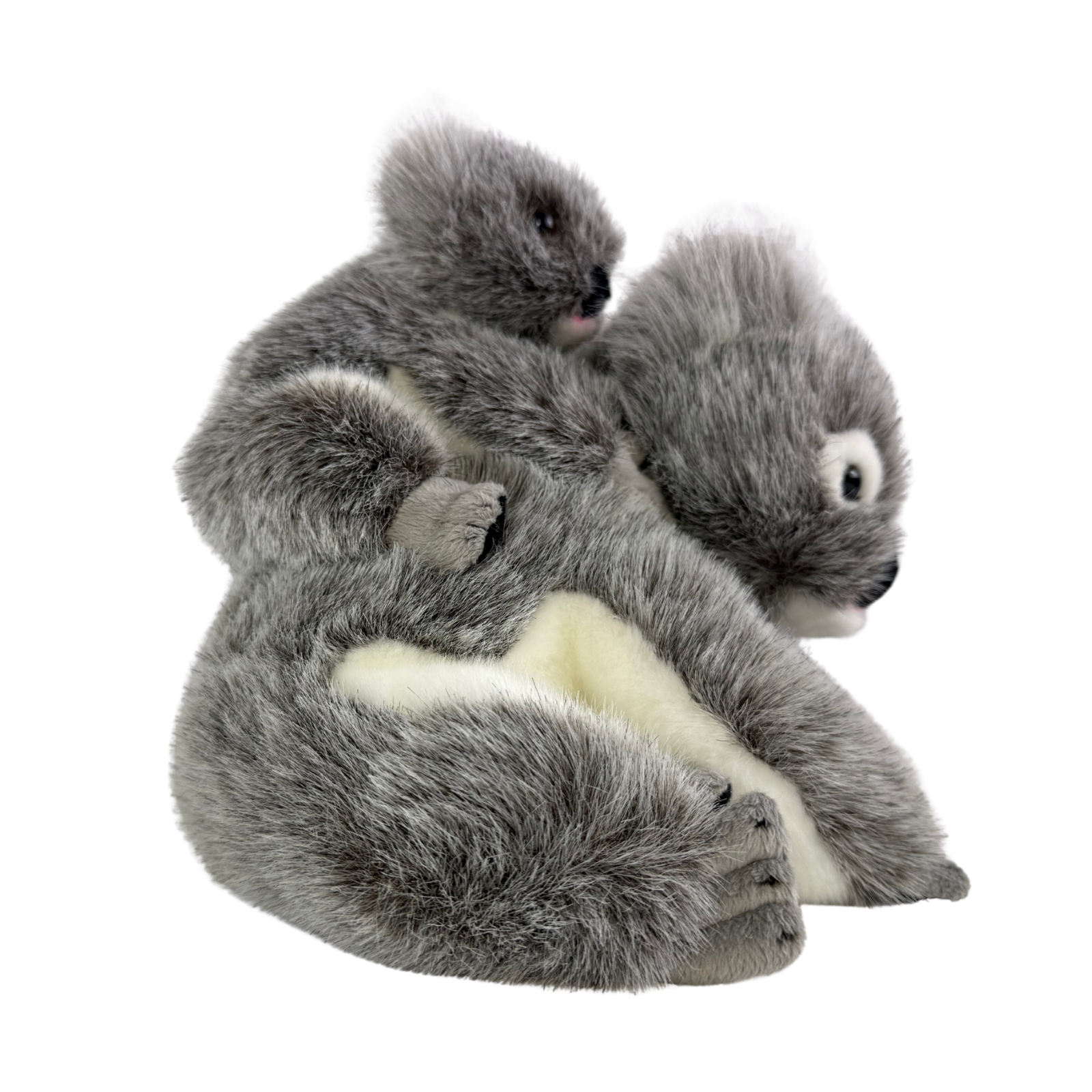 Plush toy sloth with a white background
