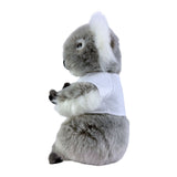 Plush toy koala wearing a white shirt on a white background