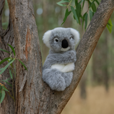 Koala Hand Puppet soft toy with feet in a tree