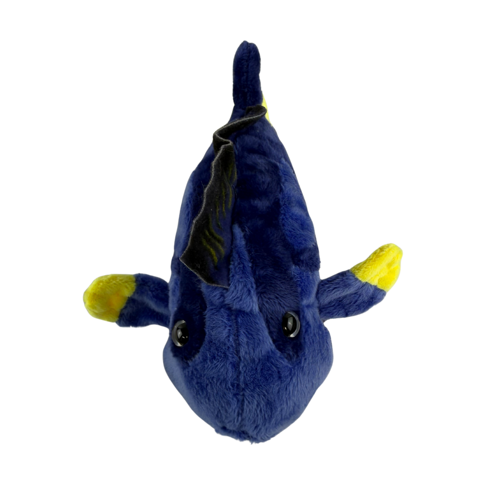 Blue Tang fish plush toy top view