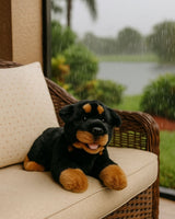 Kujo Rottweiler plush toy lying indoors