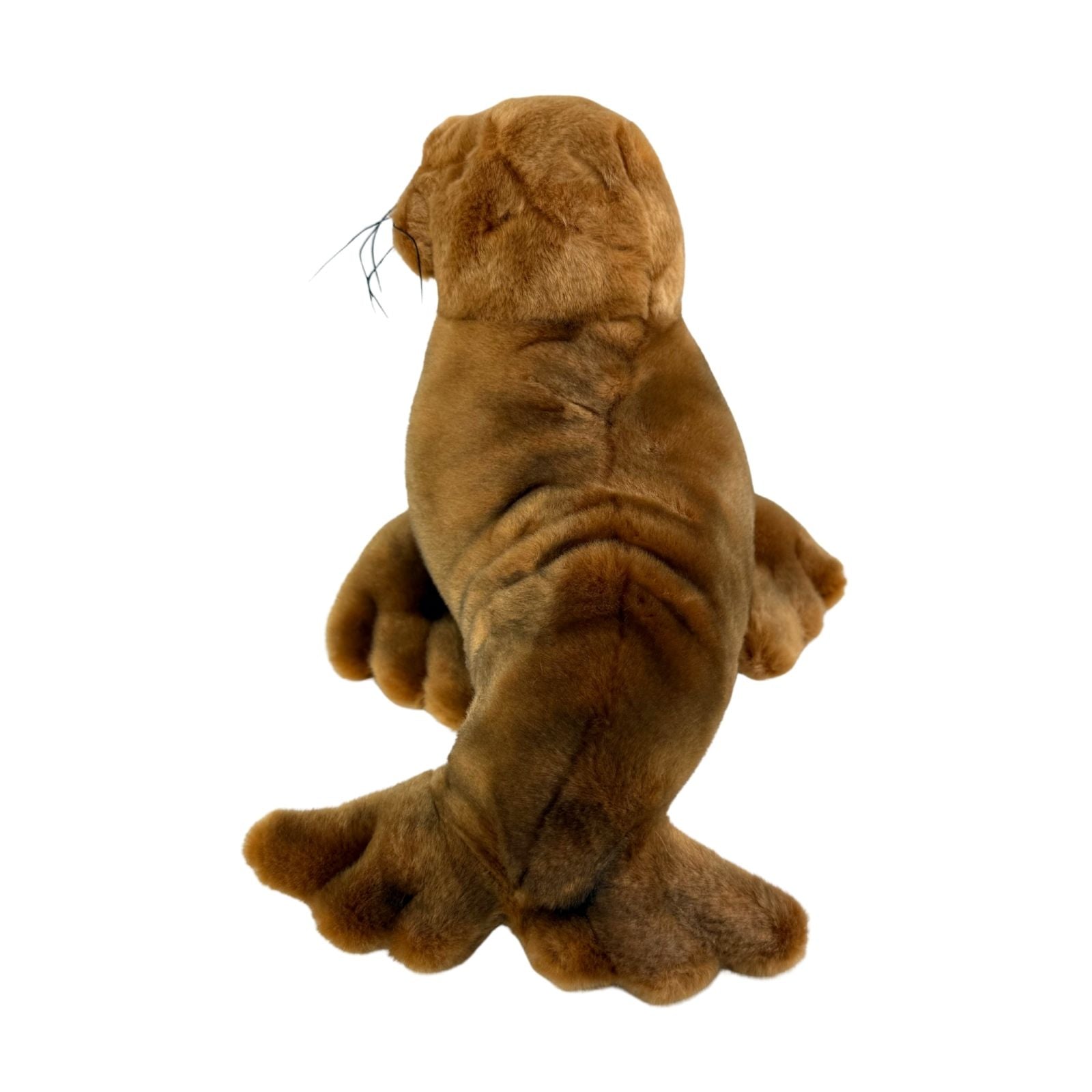 Leopold walrus plush toy back view