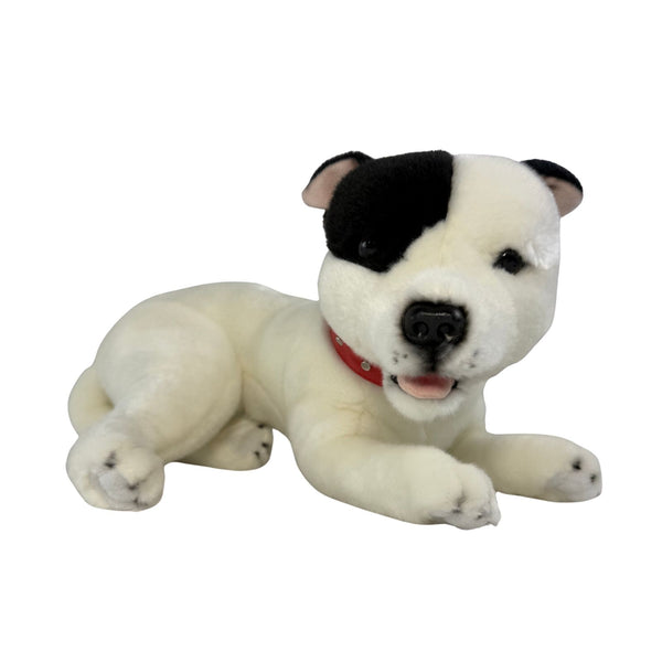 Loki - Staffy - 35cm lying, white with black patch