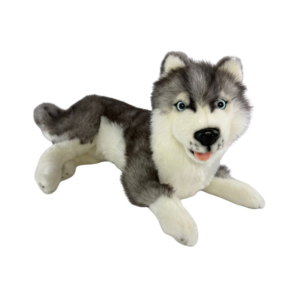 Madison - Husky - 40cm lying
