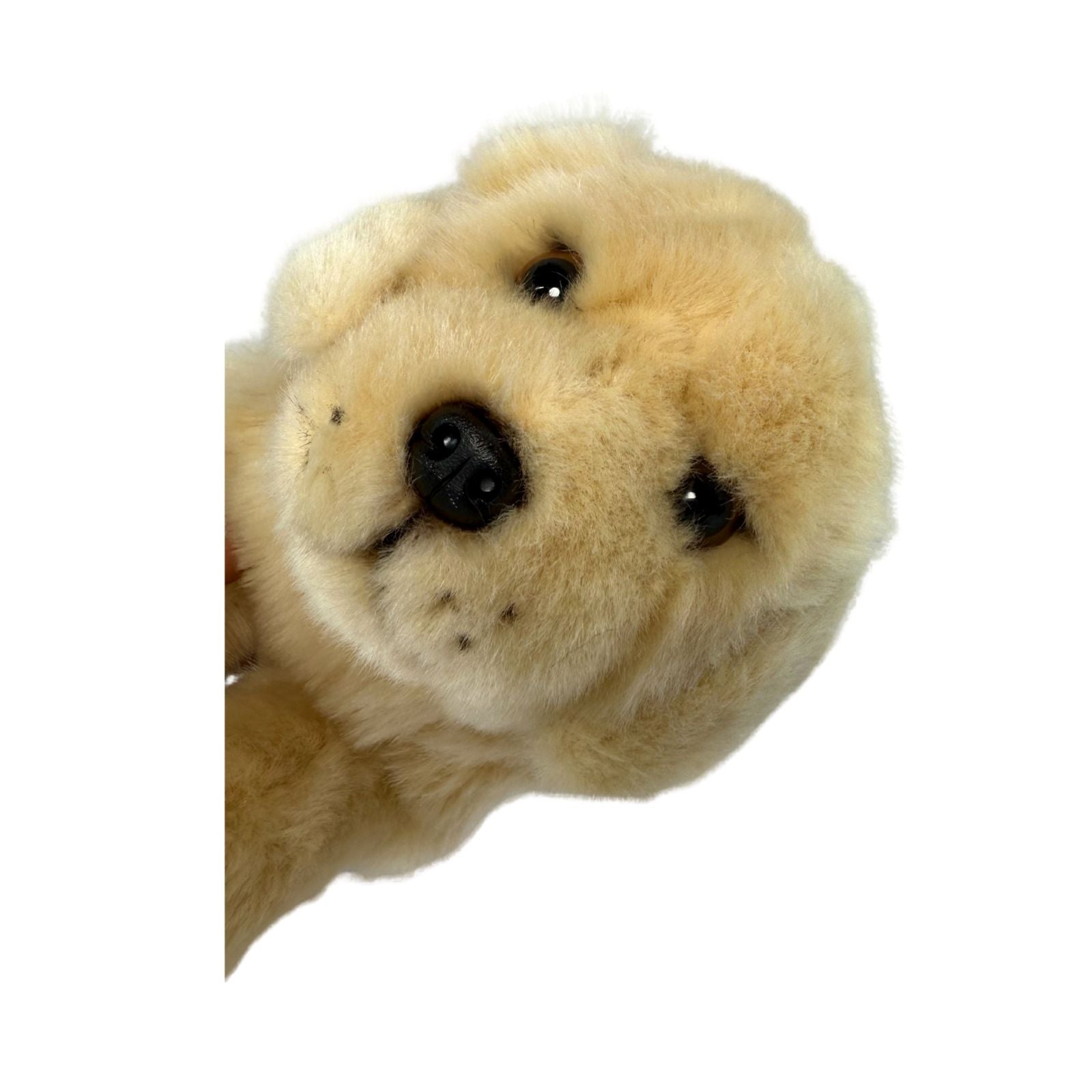 Maple Golden Retriever puppy plush close up face