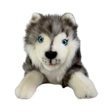 Marbles Siberian Husky puppy plush front view