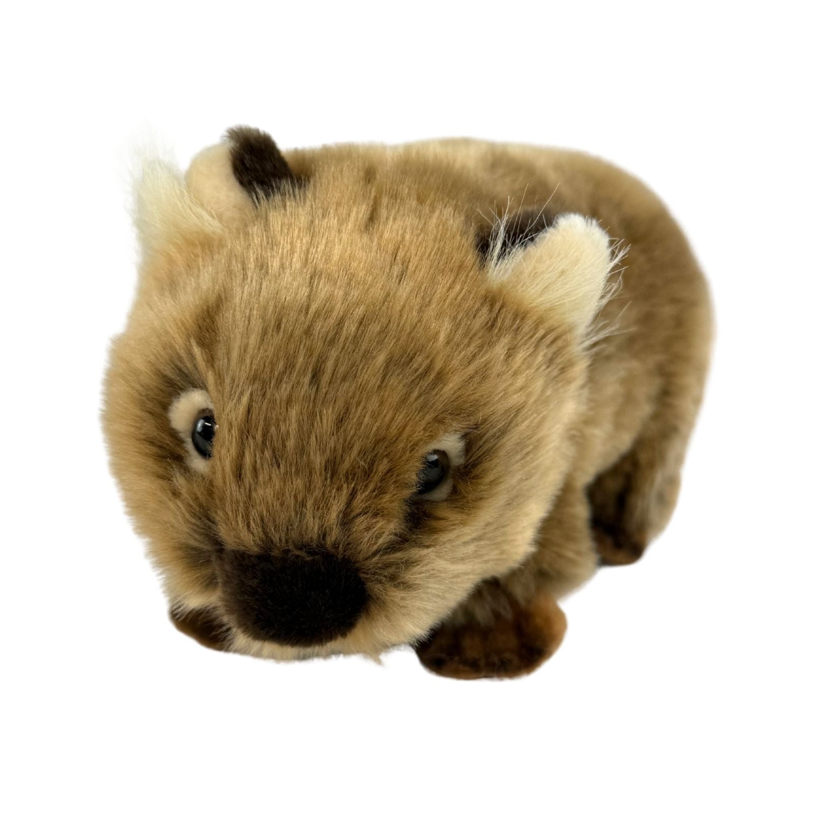 Plush toy of a brown Wombat animal with a white background