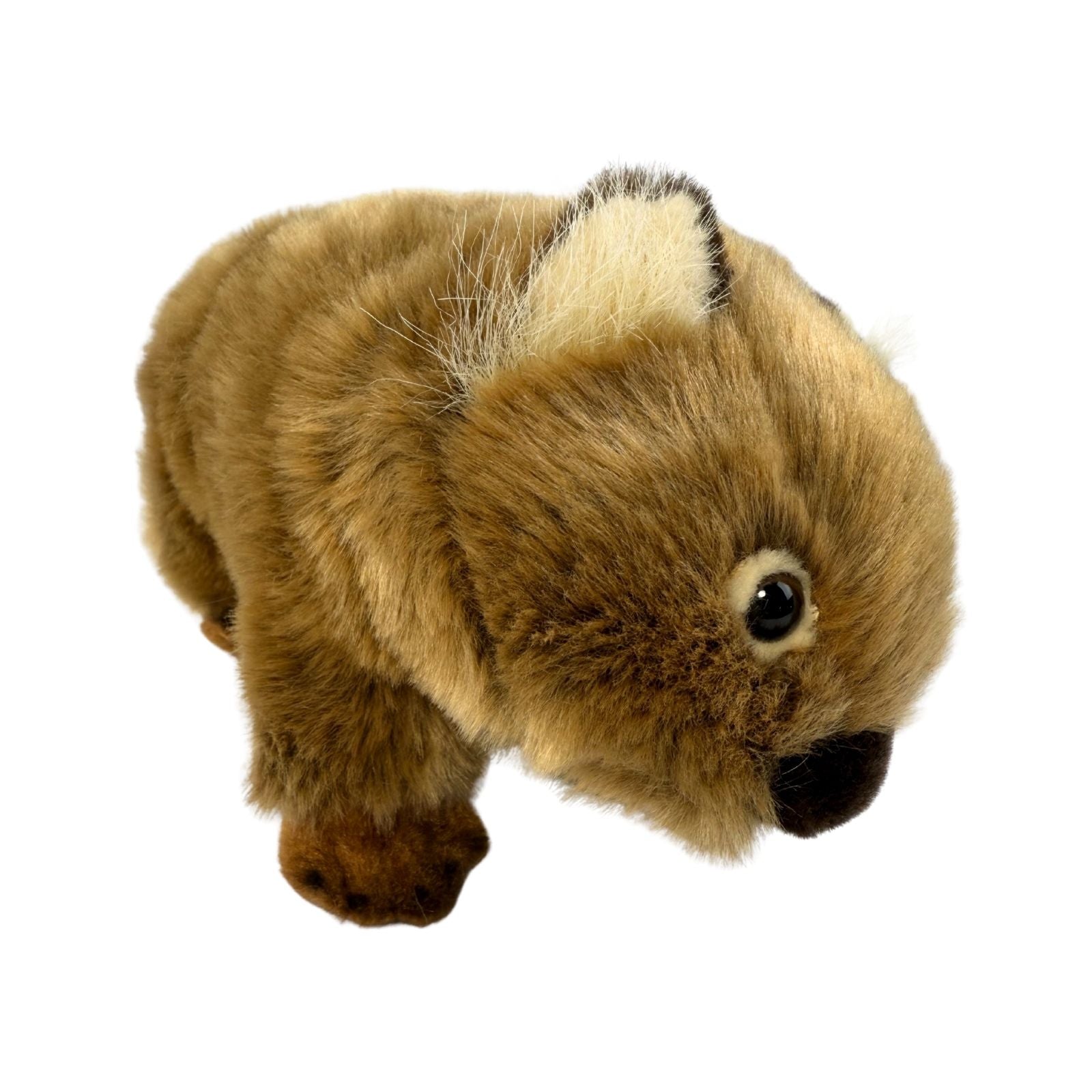 Plush toy resembling a Wombat on a white background