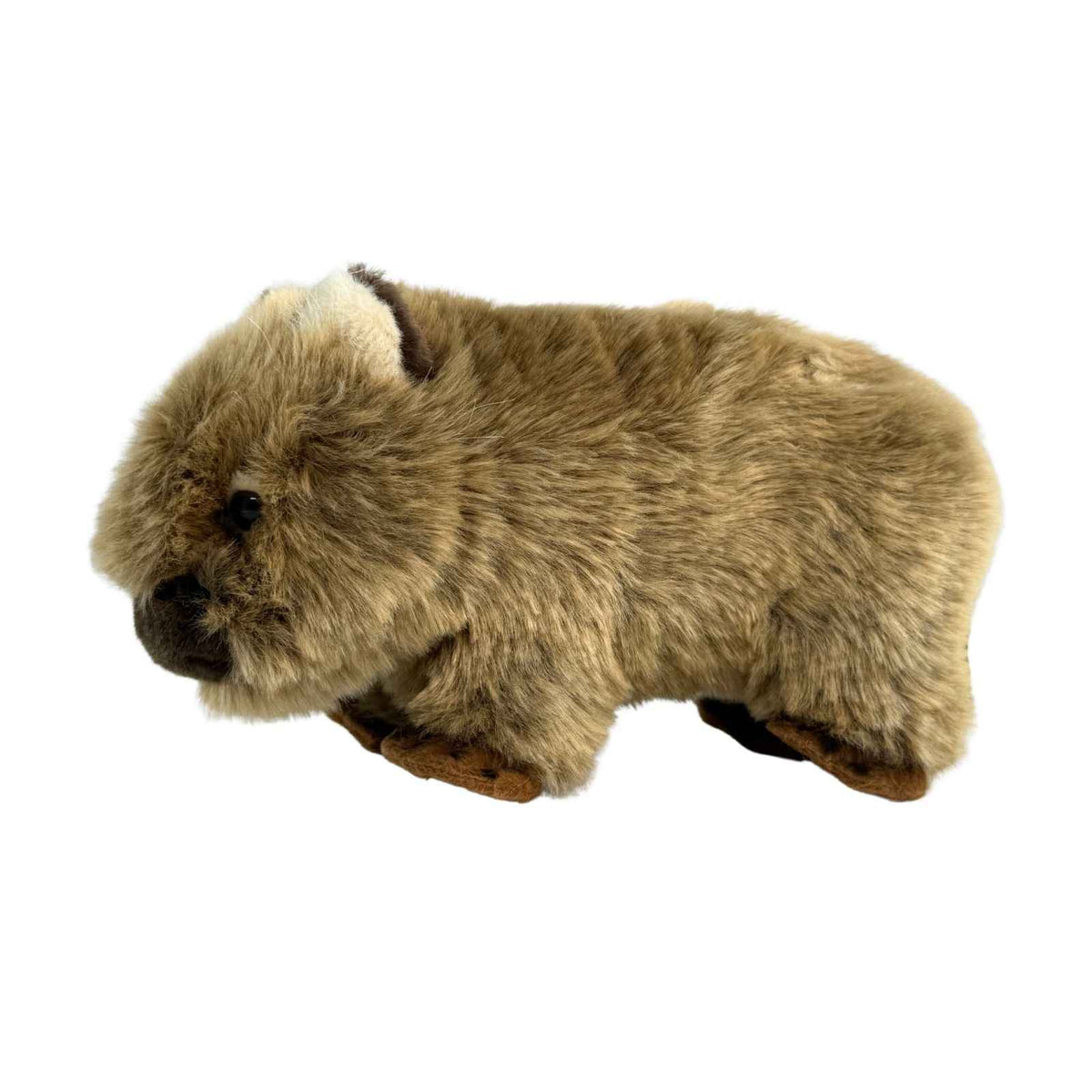 Plush toy Wombat on a white background