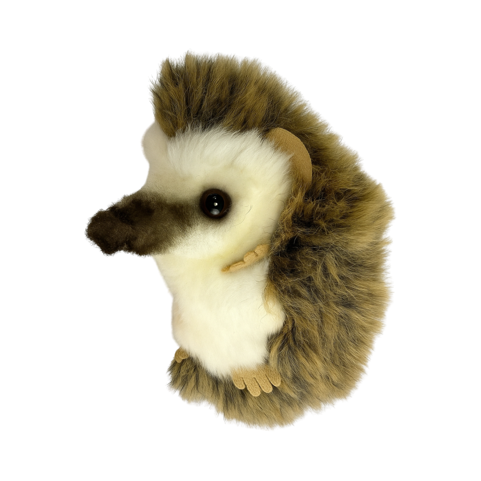 baby Hedgehog soft small handcrafted realistic plush toy