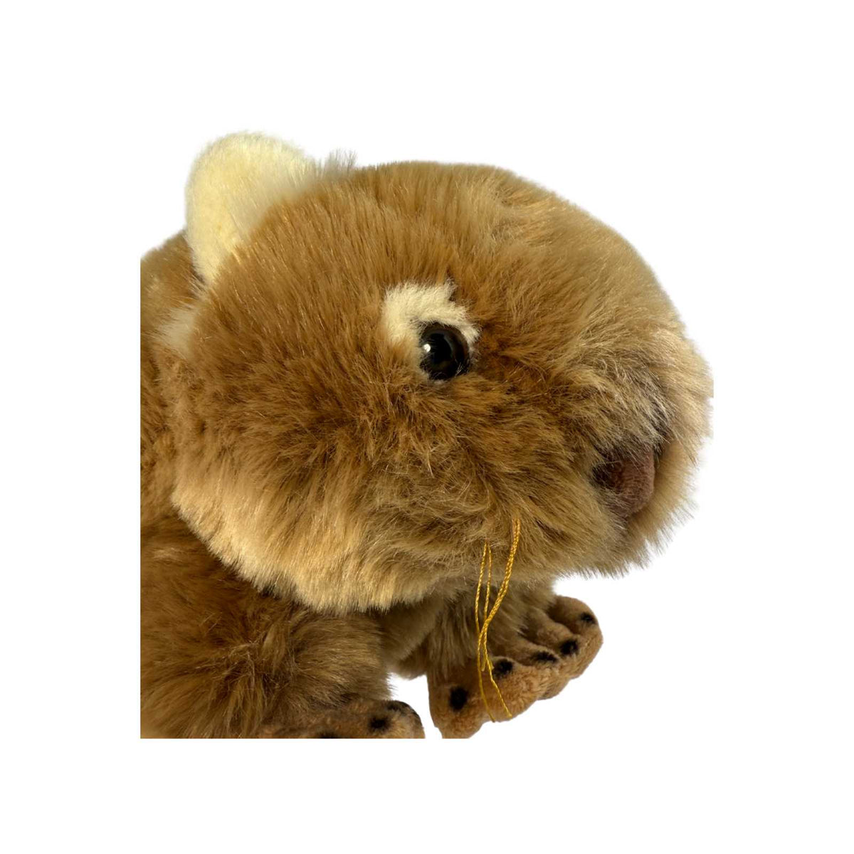 Plush toy Wombat on a white background