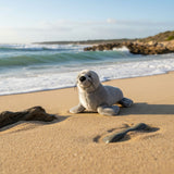Mawson Australian Sea Lion plush on sandy beach near shoreline.
