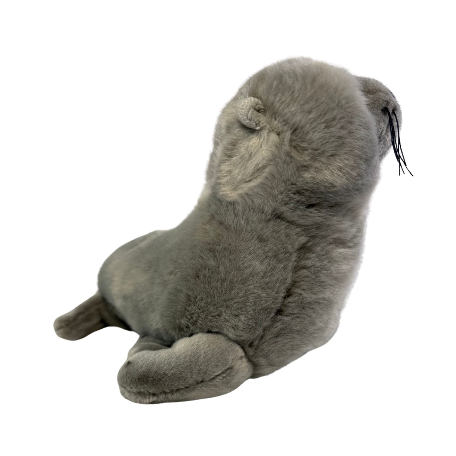 Mawson Australian Sea Lion plush back view