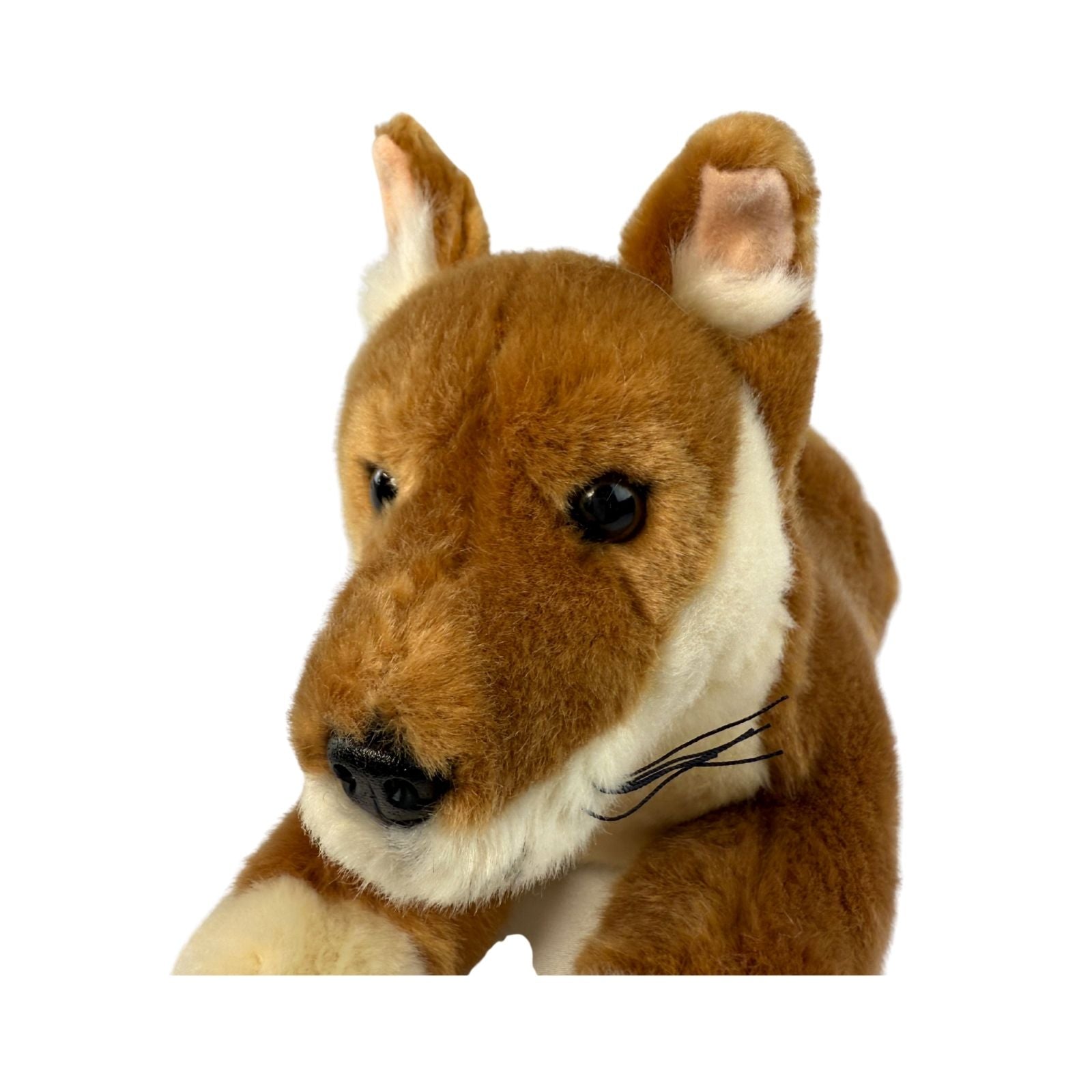 Plush toy dog head on a white background