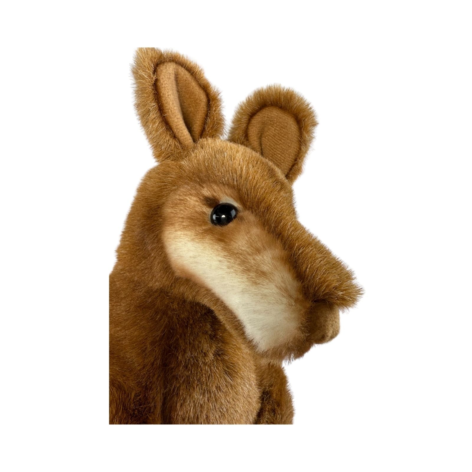 Plush toy Miles head on a white background