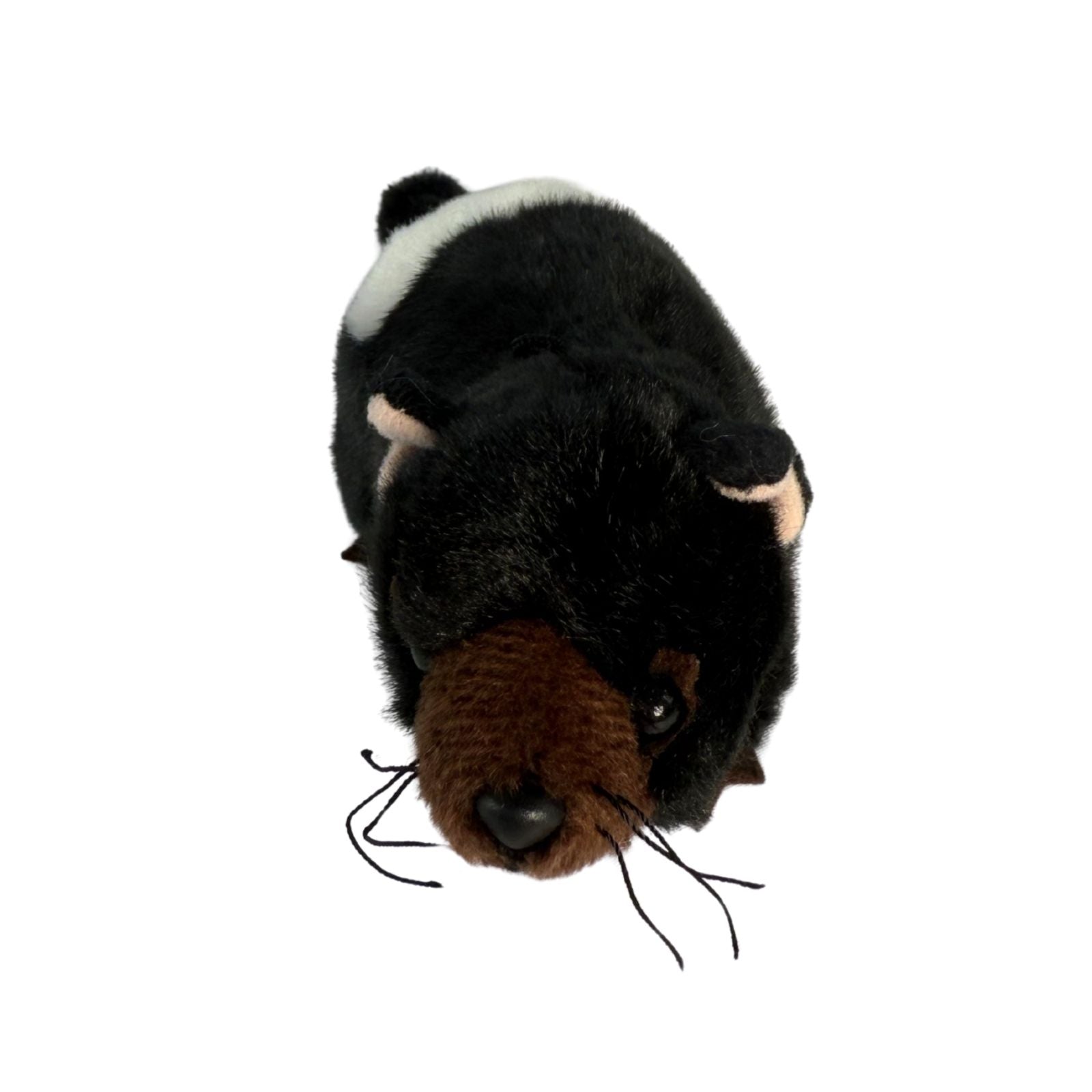 Baby Tasmanian Devil a small plush toy souvenir ideal size for children