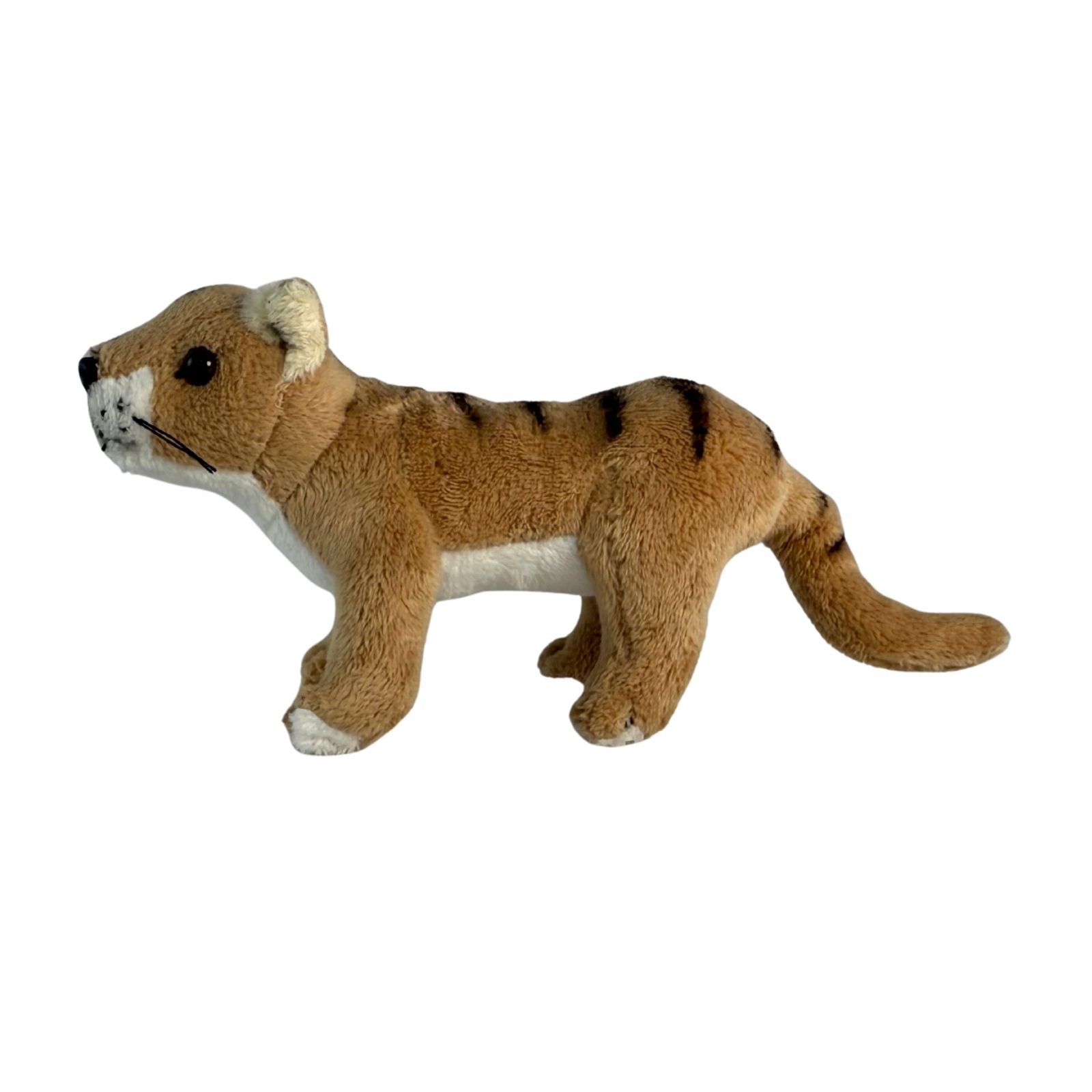 Baby Tassie tiger also known as Thylacines a small plush toy souvenir ideal size for children