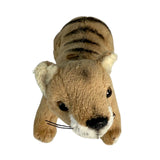 Baby Tassie tiger also known as Thylacines a small plush toy souvenir ideal size for children