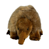 Baby spiny anteater a small plush toy souvenir ideal size for children