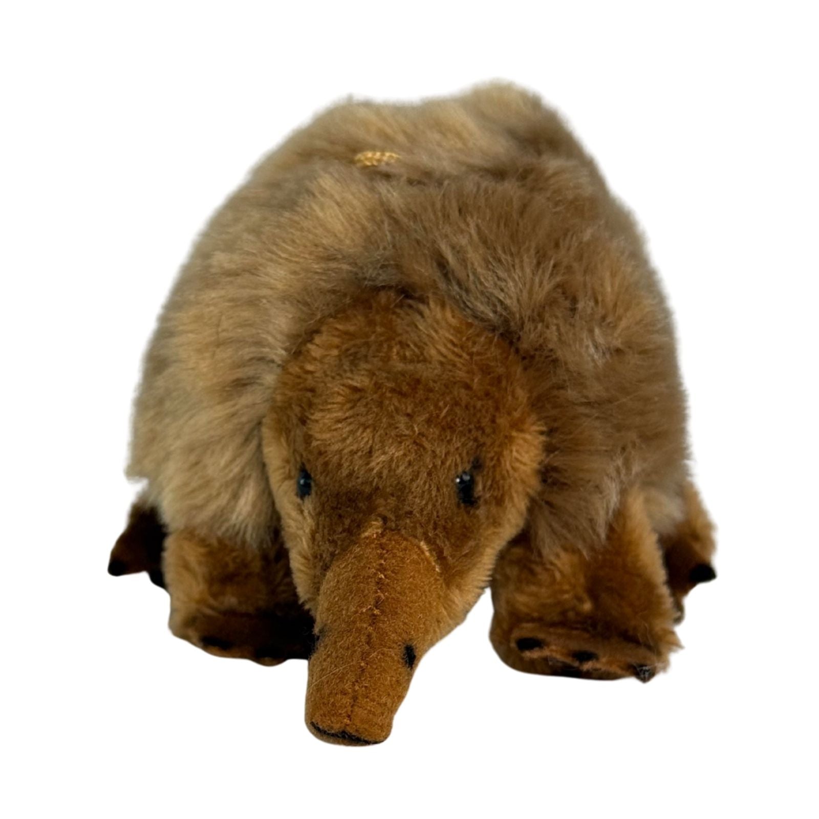 Baby spiny anteater a small plush toy souvenir ideal size for children