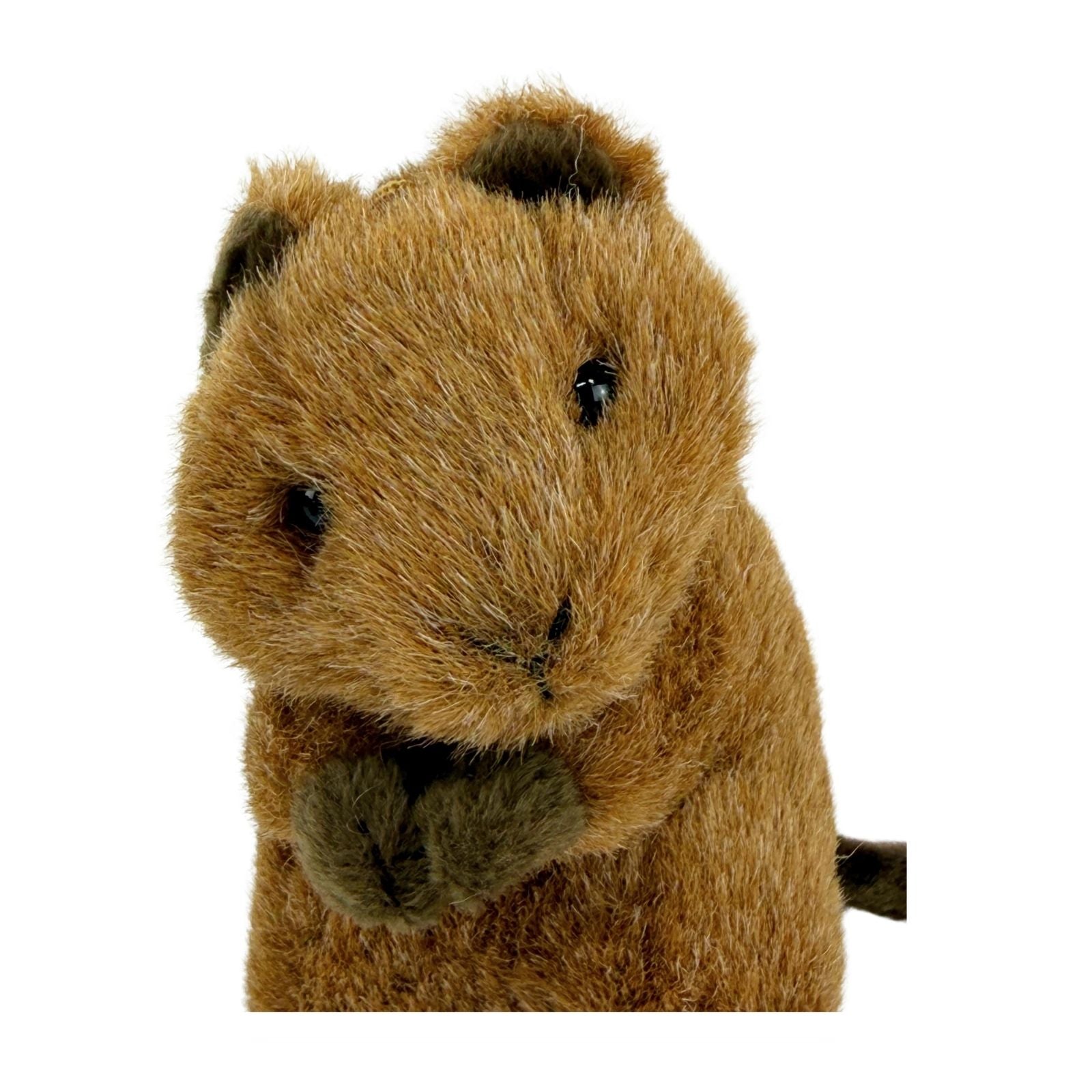 Mini quokka plush toy close up view