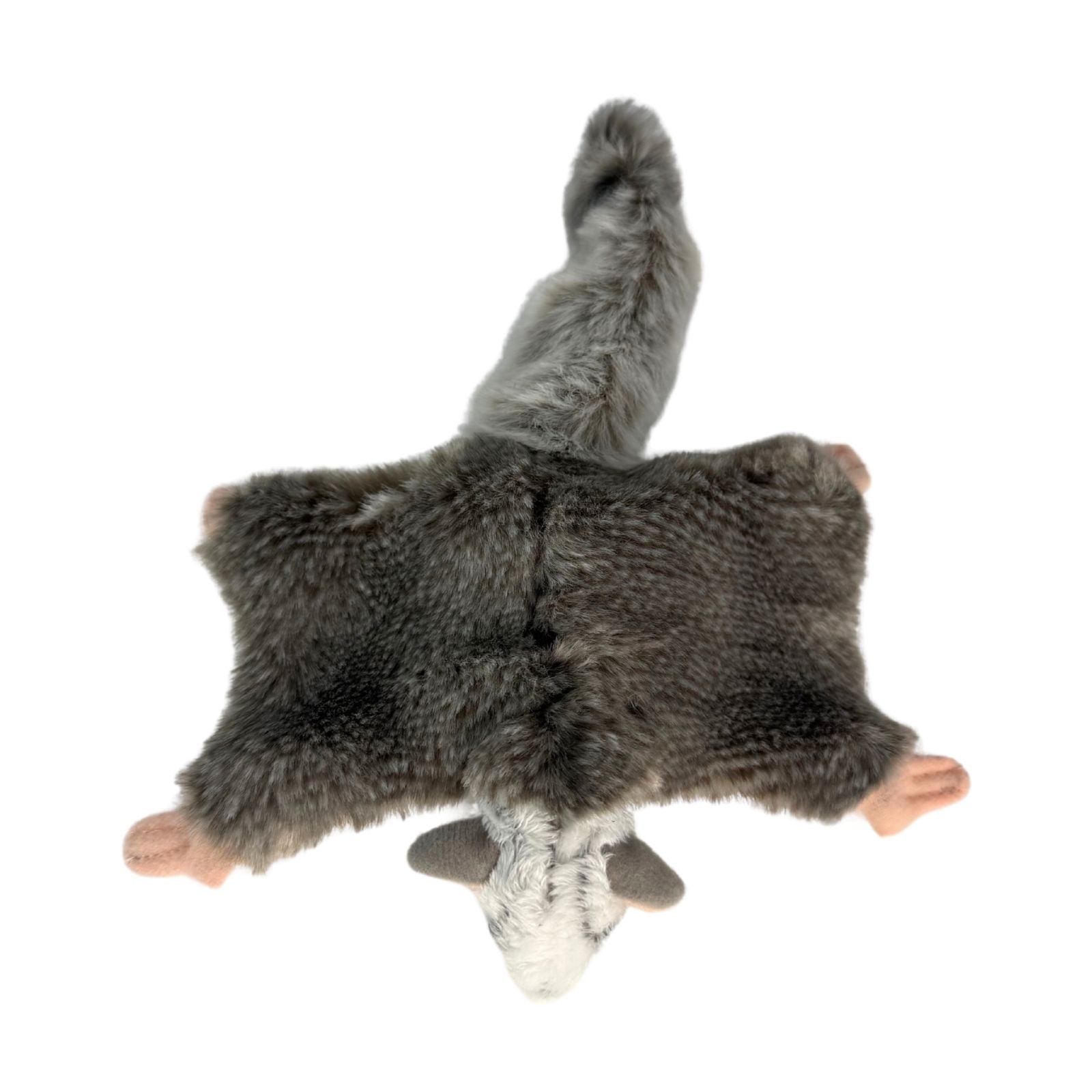 Mini squirrel glider plush top view