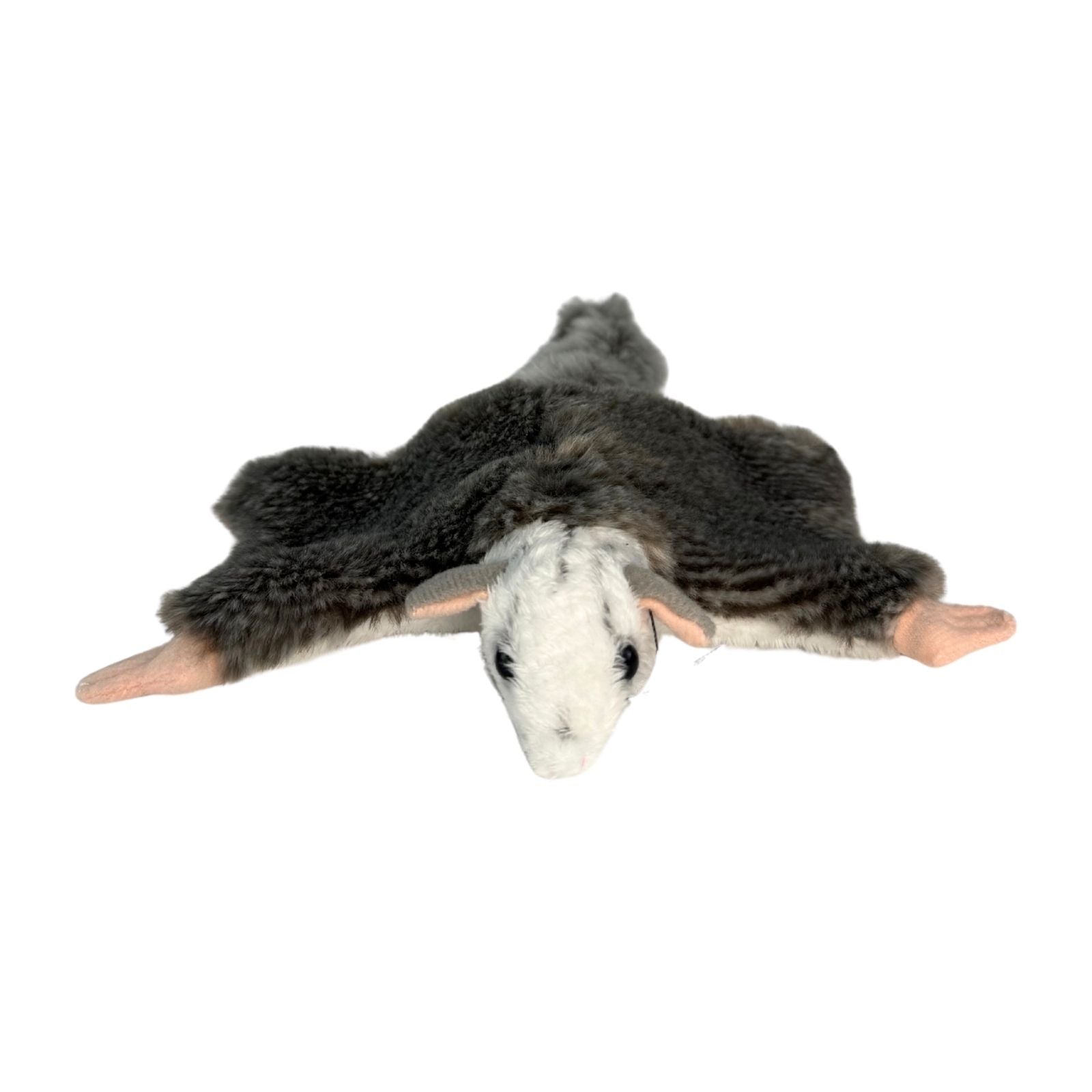 Mini squirrel glider plush front view