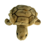 Mini turtle plush toy top view