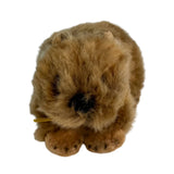 Baby hairy nose wombats a small plush toy souvenir ideal size for children