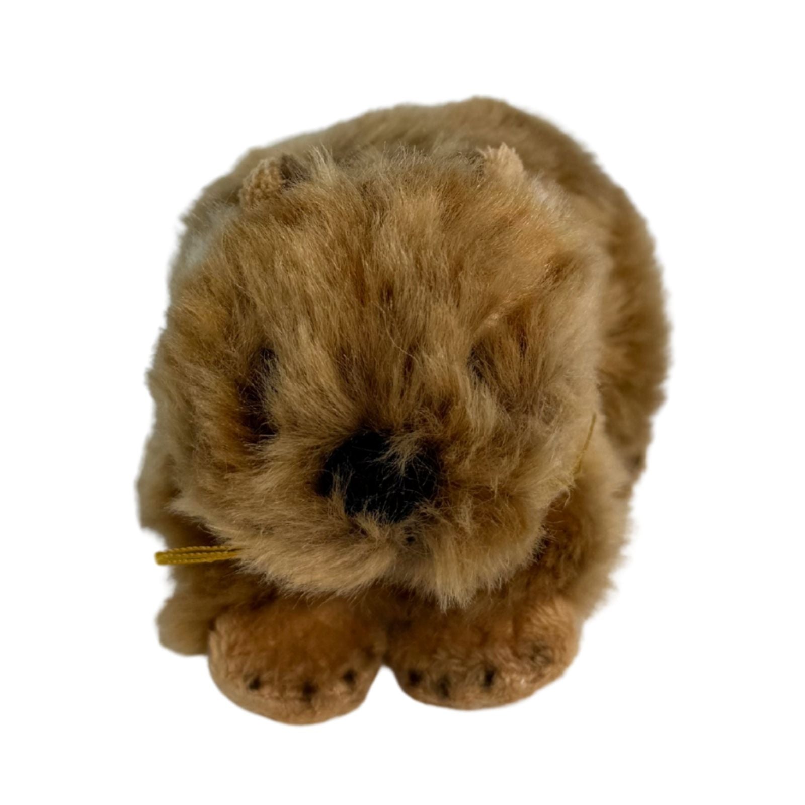 Baby hairy nose wombats a small plush toy souvenir ideal size for children