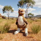 red kangaroo souvenir soft plush toy in outdoor