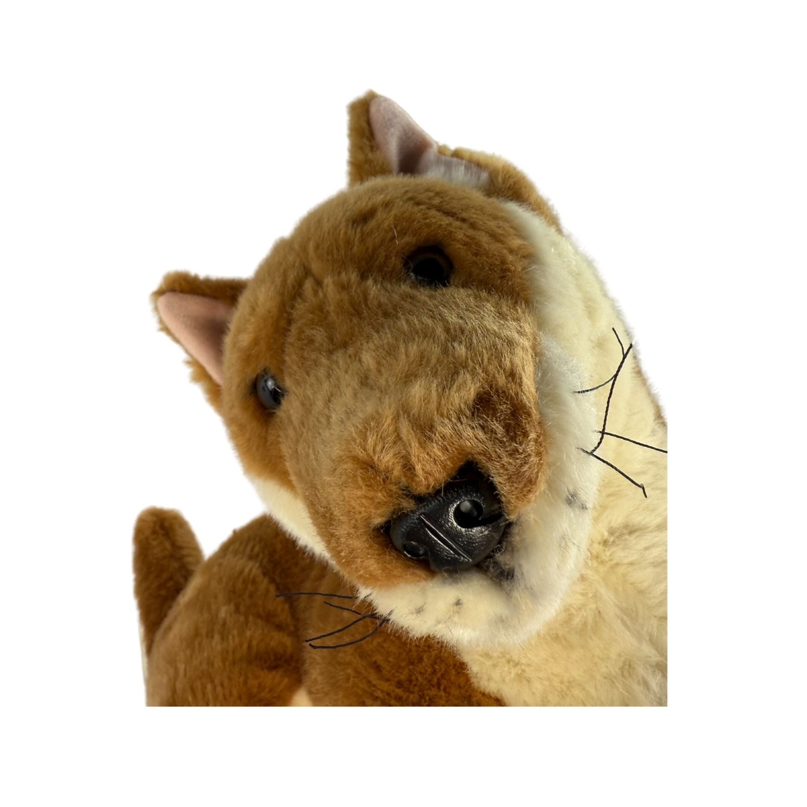 Close-up of a plush dingo toy on a white background
