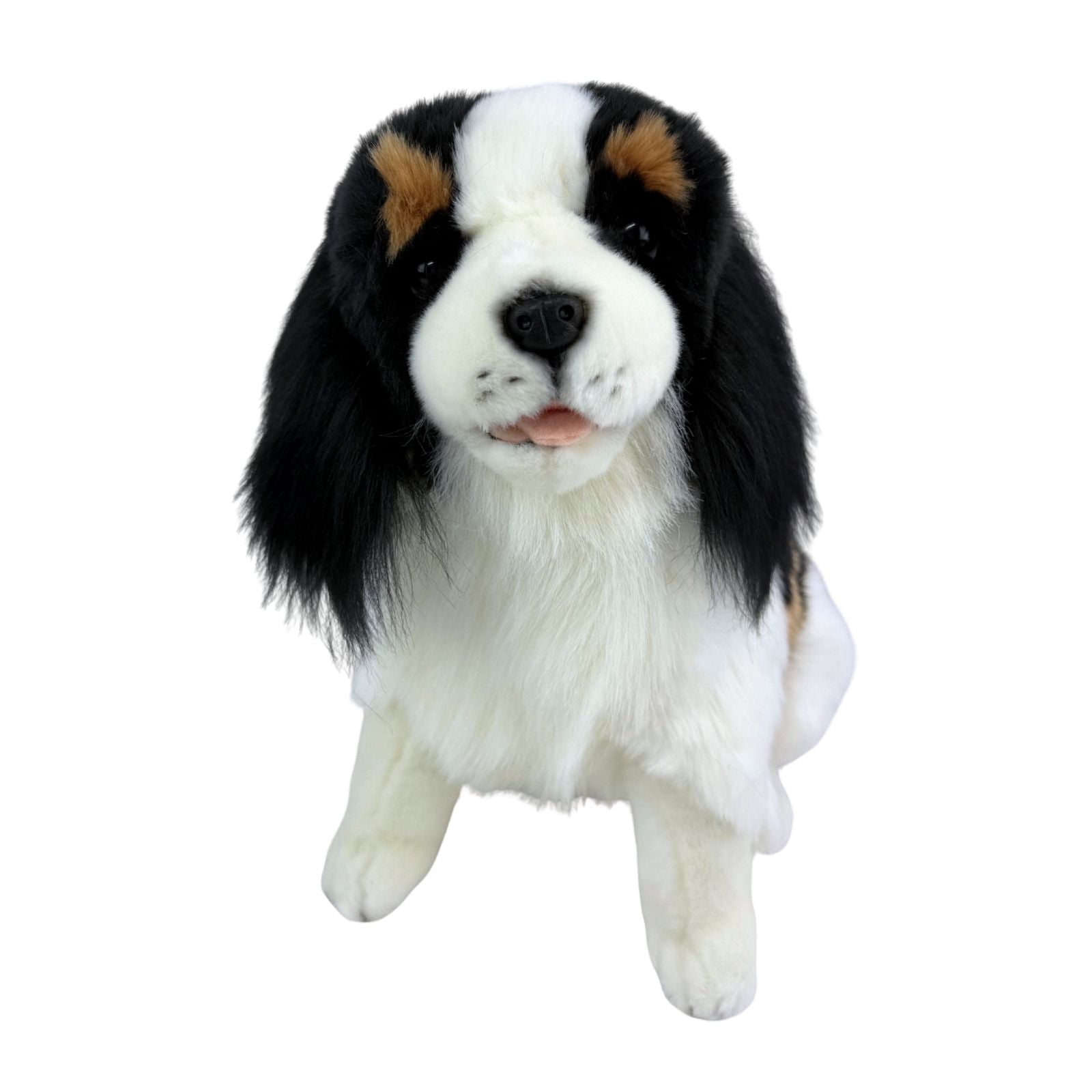 Chester adorable Cavalier King Charles Spaniel puppy plush (60)