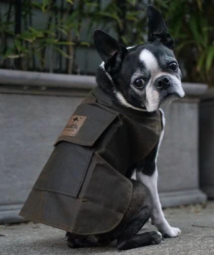 Oilskin Dog Coat