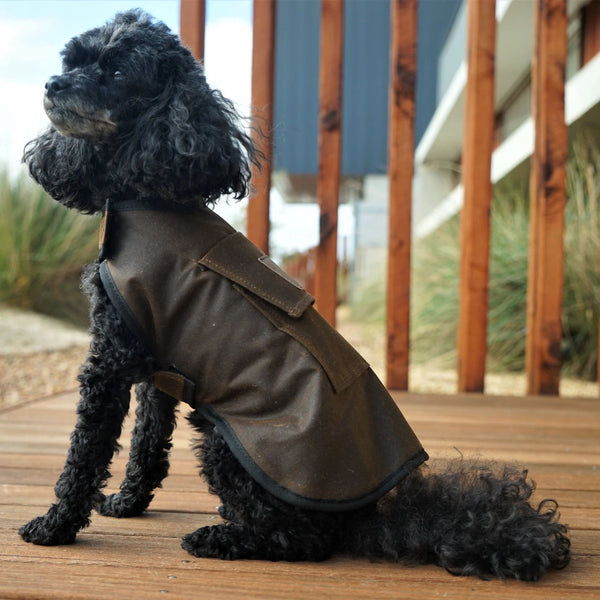 Oilskin Dog Coat