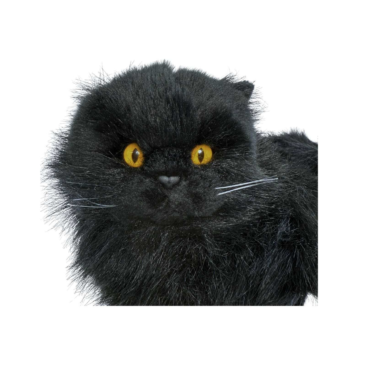 Onyx black Persian cat plush close up face