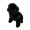 Oreo black Pug plush sitting front view
