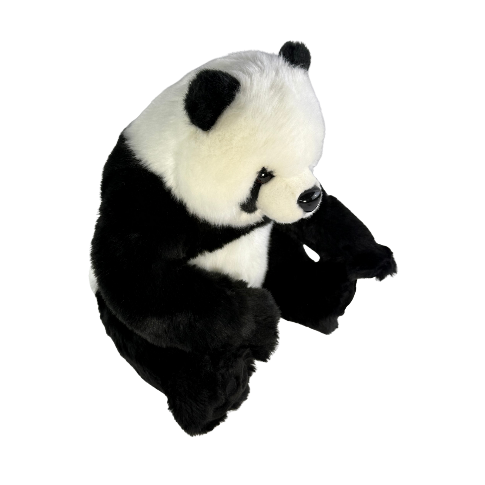 Ty Panda Bub soft plush toy angle view