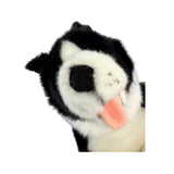 Patch Border Collie plush close up face