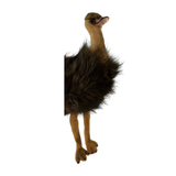 Plush toy emu on a white background