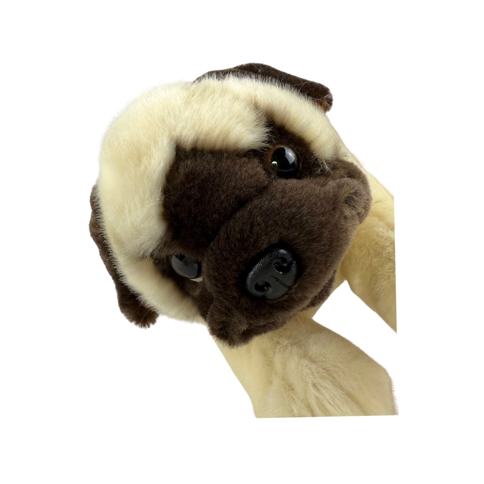 Close‑up of Pepito pug plush toy’s face