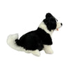 Pepsi - Border Collie - 23cm sitting