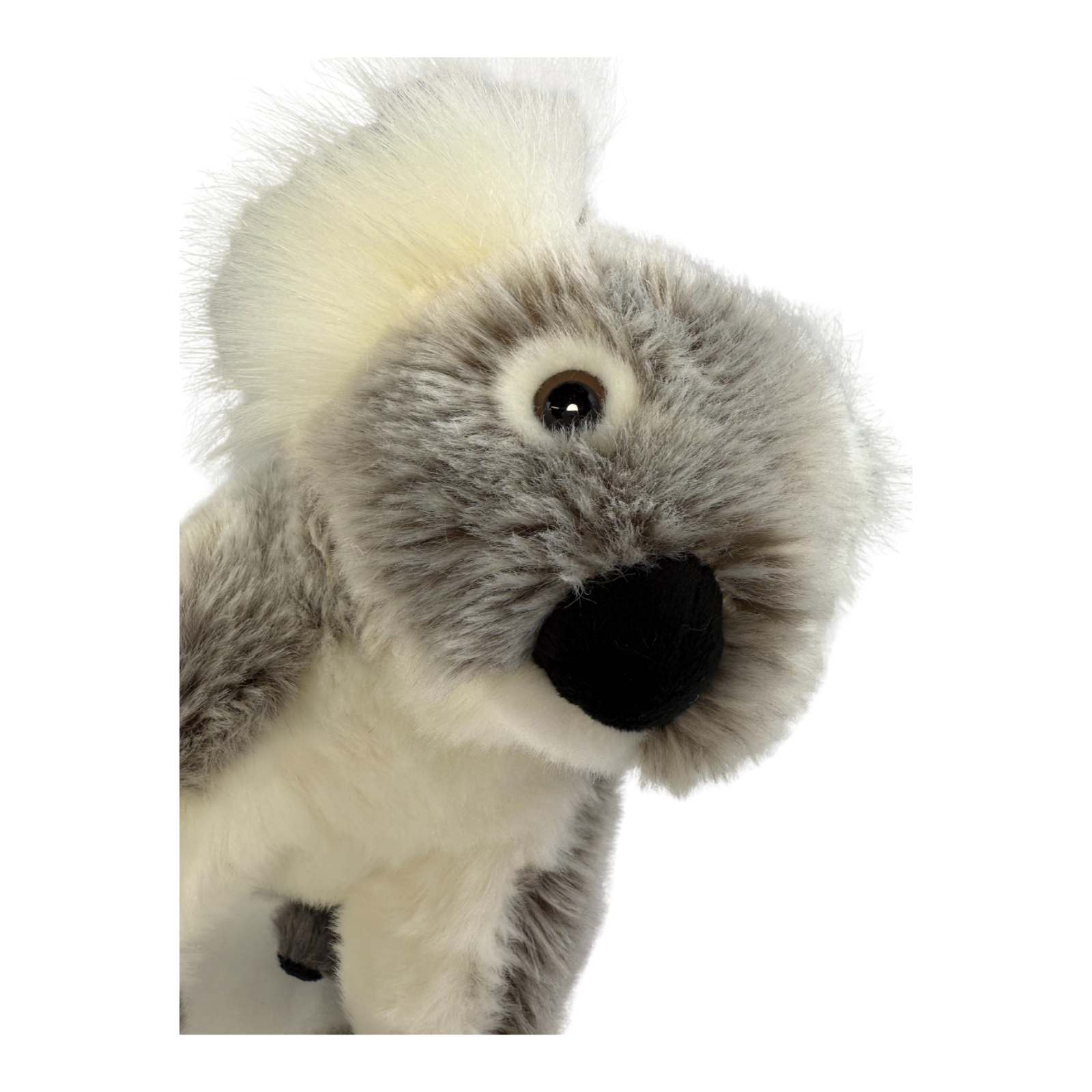 quality plush Koala toy in sitting position