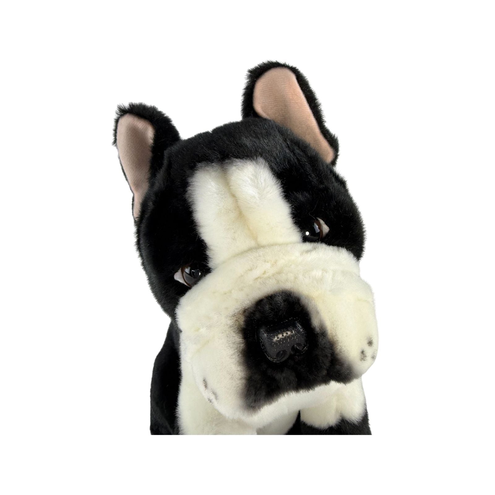 Pierre French Bulldog plush close up face