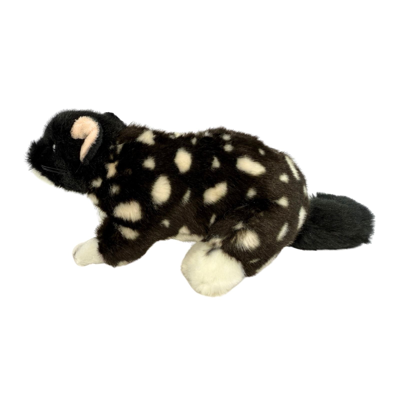 A Black Eastern Quoll a realistic soft plush toy
