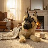 Ranger German Shepherd plush on carpet near fireplace with blanket