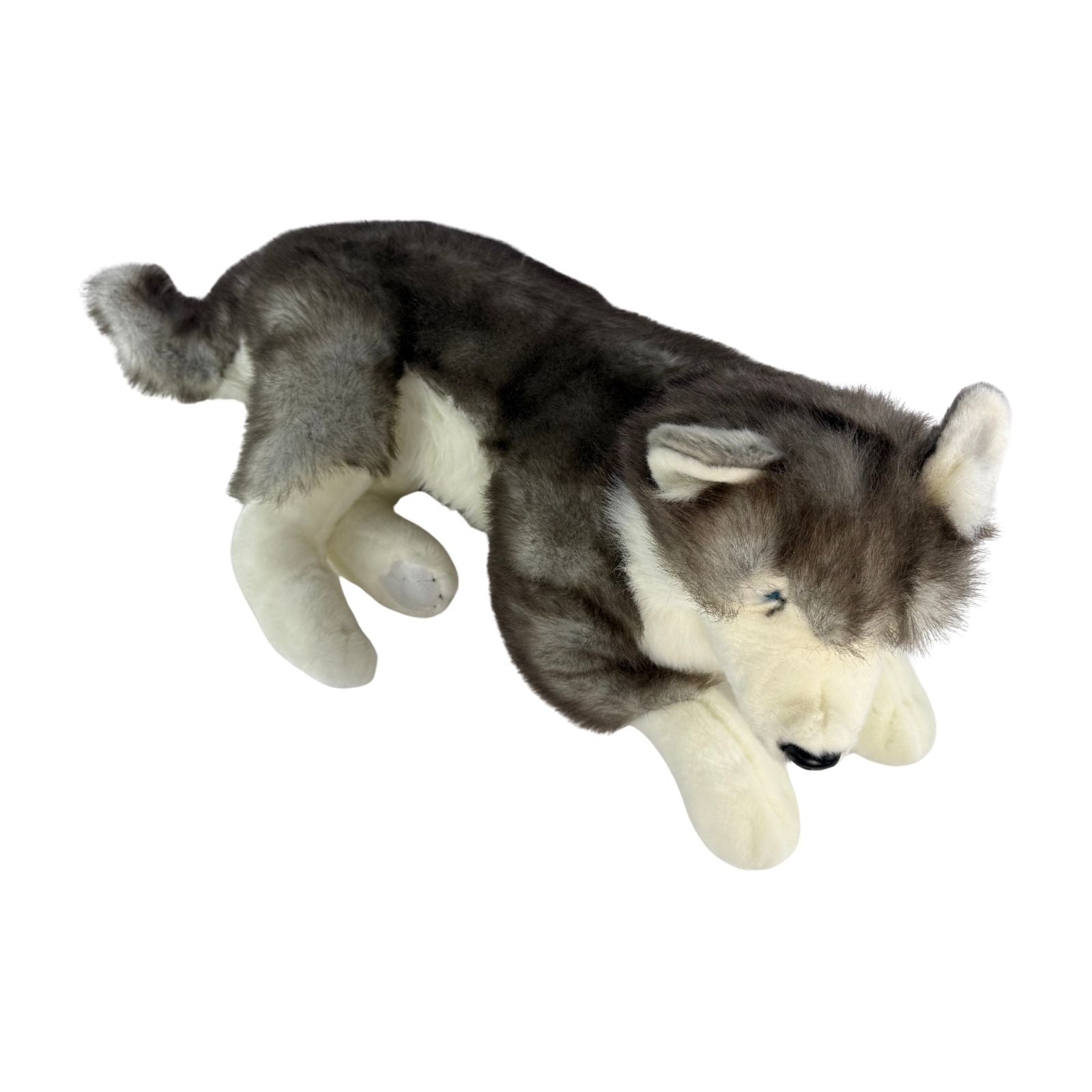 Rocket Husky plush lying top view