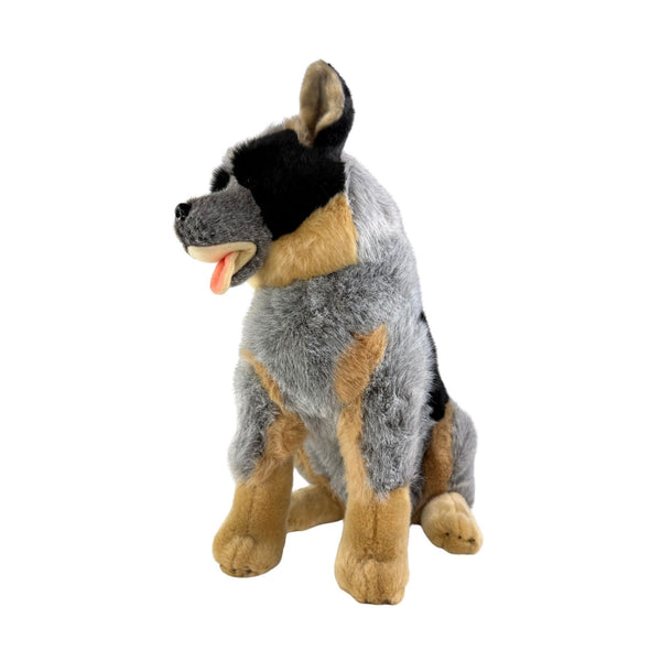 Rocky - Cattle Dog - 41cm sitting